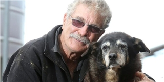 Chú chó được xem già nhất thế giới qua đời khiến chủ nhân suy sụp