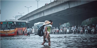 "Rớt nước mắt" với bức ảnh cha cõng con đi học giữa Hà Nội ngập nước