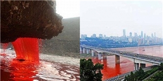 Bí ẩn về những dòng sông bất ngờ hóa đỏ như máu