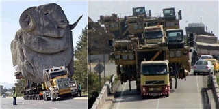 Chóng mặt với những mặt hàng khủng mà xe tải có thể chở được