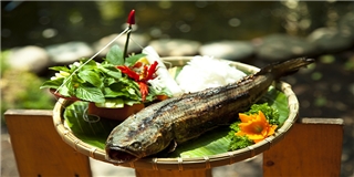 Cá lóc nướng trui nét duyên tinh tế của người dân Việt Nam