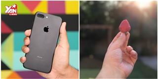 Ngắm kĩ khả năng chụp ảnh xóa phông thần thánh của iPhone 7 Plus
