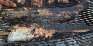 Cảnh báo: nướng cá bằng bếp than trong phòng máy lạnh gây chết người