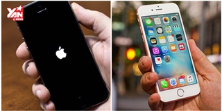 Apple thay pin miễn phí cho iPhone bị lỗi