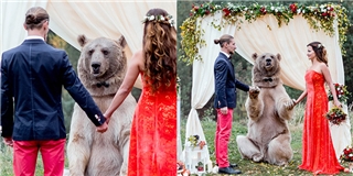 Ngỡ ngàng đám cưới có chủ hôn là một chú gấu khổng lồ