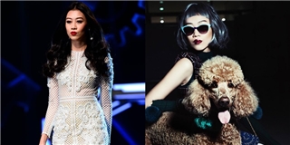 Sự thật về quyền tham gia Next Top Model châu Á của Kikki Lê