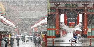 Tuyết đổ trắng xóa vào mùa thu ở Nhật Bản sau hơn nửa thế kỉ