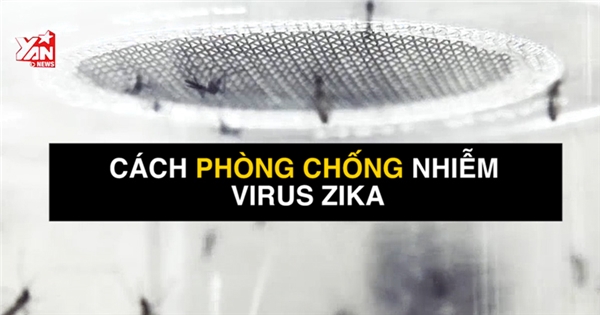 Dấu hiệu và cách phòng tránh bệnh do nhiễm virus Zika
