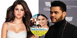 Thực hư chuyện Selena Gomez có thai, chuẩn bị kết hôn với The Weeknd?